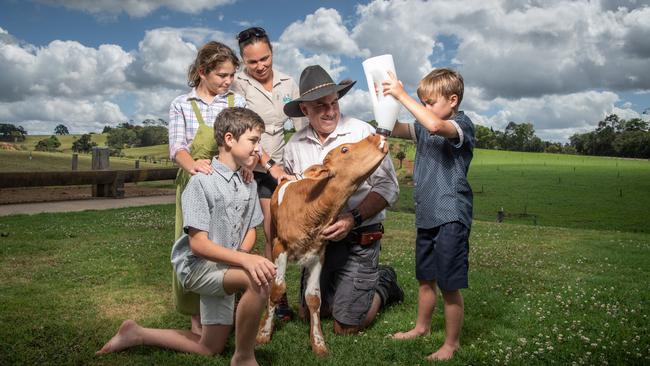 Maleny Dairies owner Ross Hopper with wife Sally and children Rescue 12, Cheeky 11, and Ruckus, 9, and calf Hercules. Picture: Brad Fleet