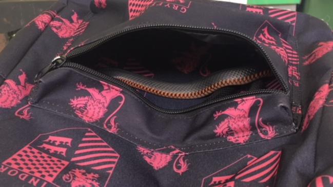 The red bellied black hiding in a school backpack.