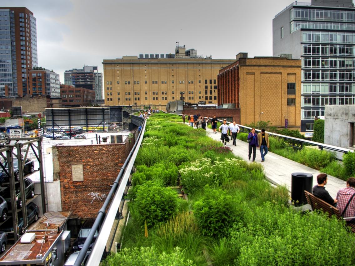 High line park. Хай лайн Нью Йорк. Парк High line в Нью-Йорке. Хай лайн парк в Нью-Йорке фото. Парк High line растения.