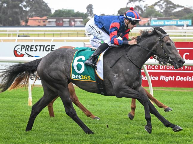 Miss Tallchief will appreciated a step back in class and a drop in weight at Stony Creek on Tuesday. Picture: Reg Ryan / Racing Photos