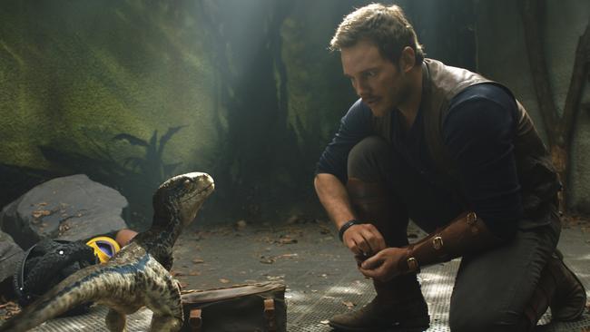 Chris Pratt in Jurassic World: Fallen Kingdom. Picture: Universal Pictures