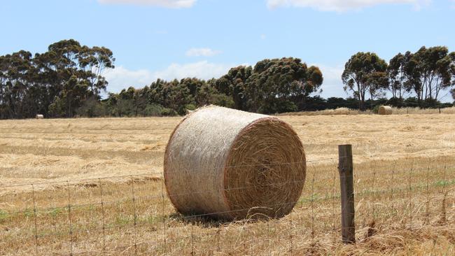 Reduced hay export demand is leading to price cuts.