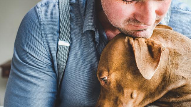 Staying with your pets in their final moments brings them great comfort.