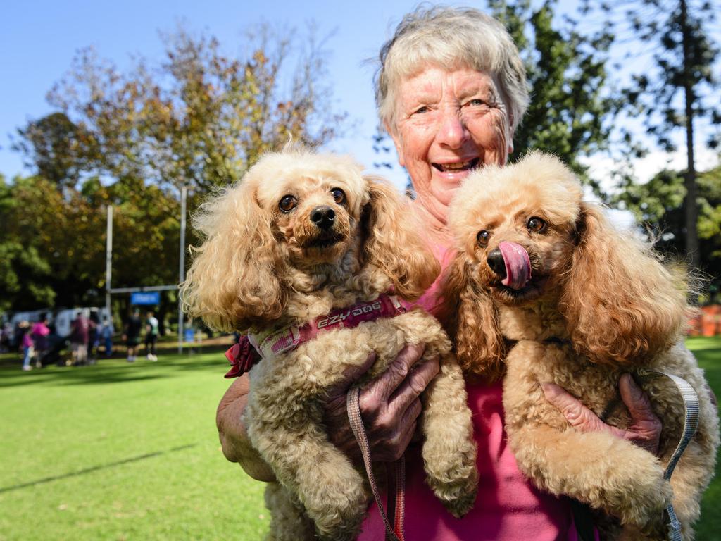 Noreen O'Reilly with Honey (left) and Lucky at the Million Paws Walk in Queens Park, Sunday, May 25, 2025. Picture: Kevin Farmer