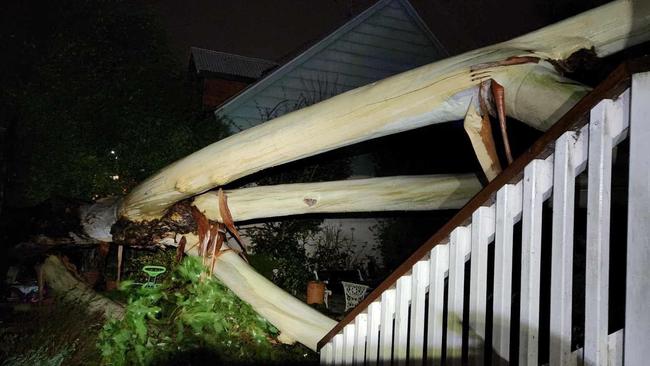 The tree badly damaged a patio. Picture: Mount Gambier and District SES