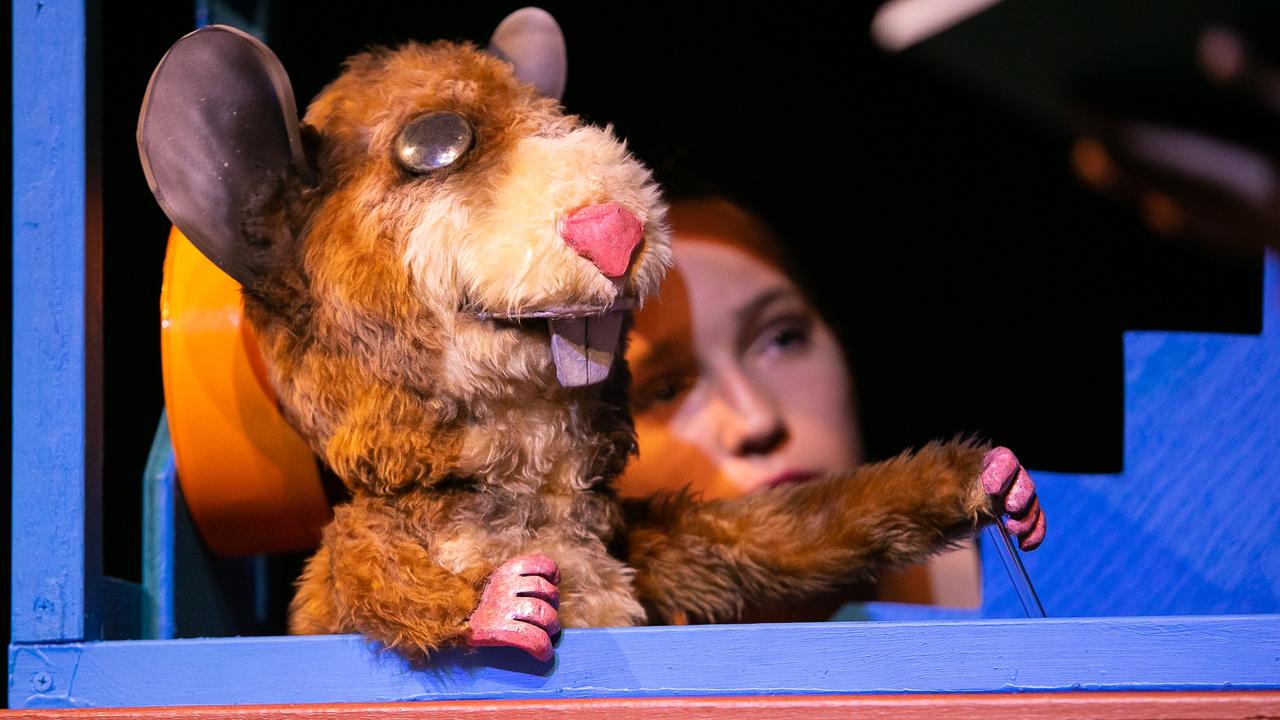 My Hamster is a Genius book: Show coming to Brisbane Arts Theatre | The