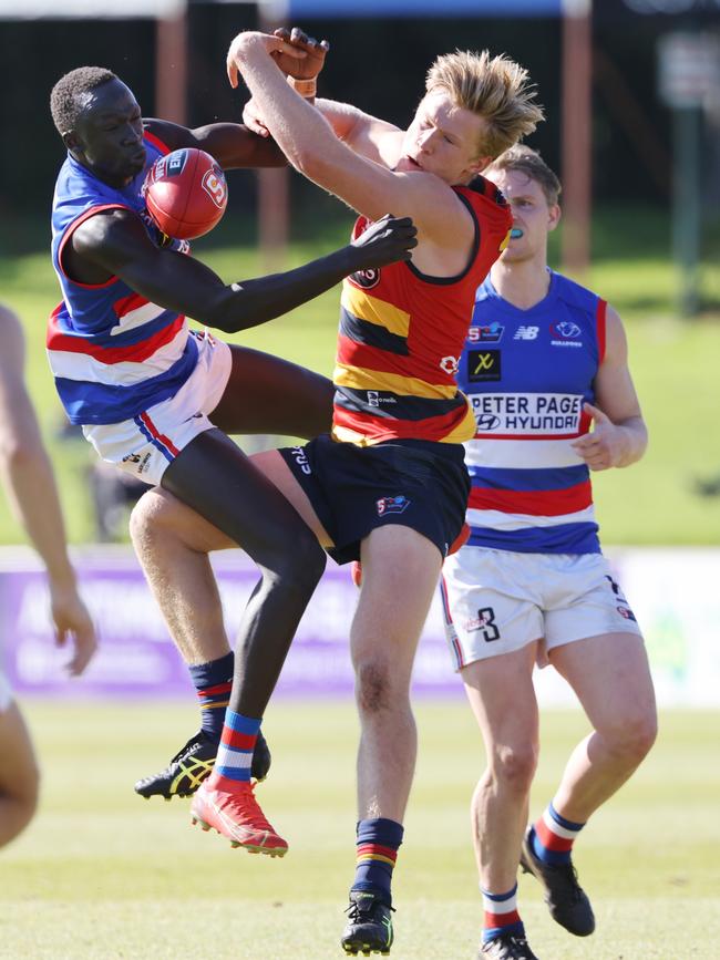 Leek Alleer takes a flying mark for Central Districts. Picture: SANFL Image/David Mariuz