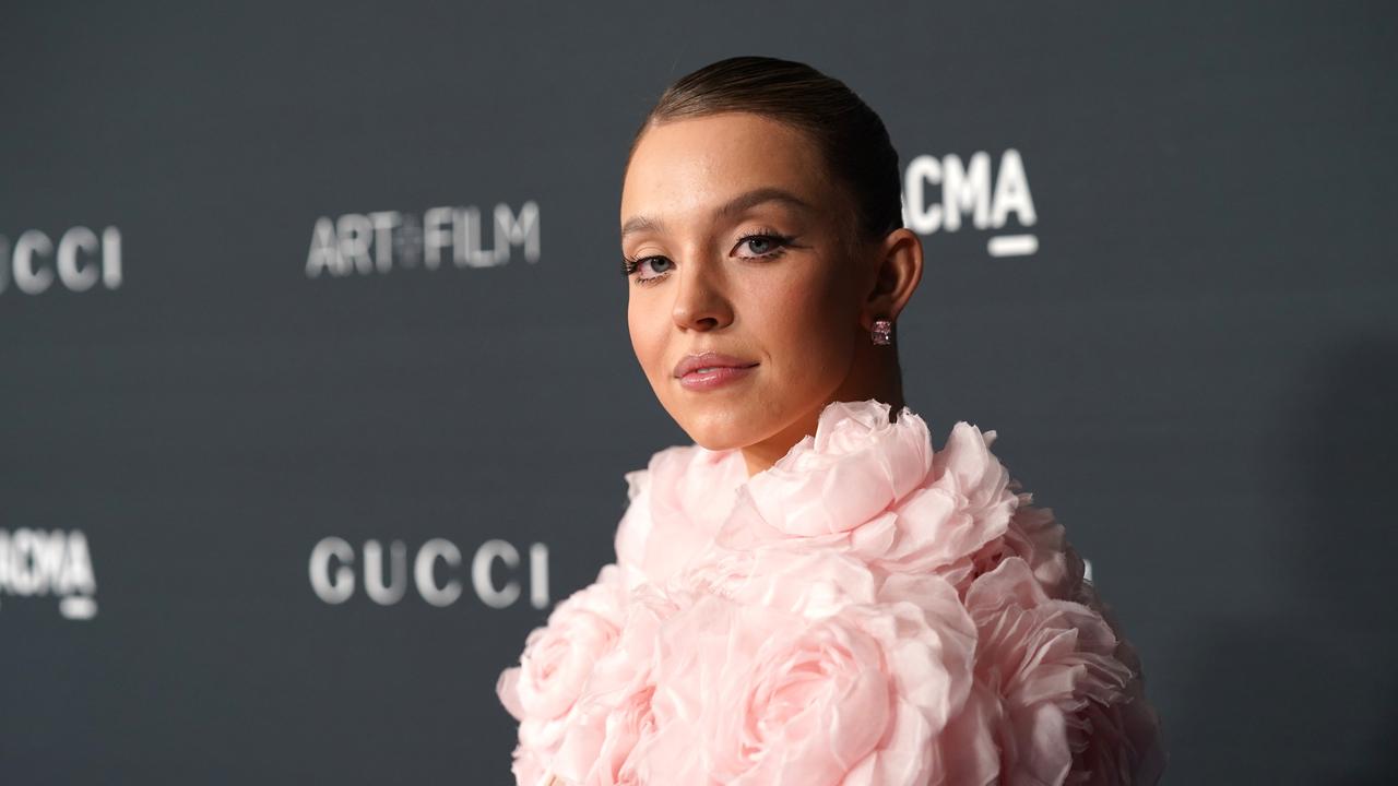 Sydney keeps working so she can continue earning money. Picture: Presley Ann/Getty Images for LACMA