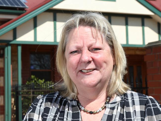 Mitcham mayor takes on Duluk in a seat the Libs need to win