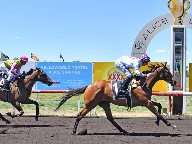 That’s Justified, trained by Terry Gillett, is a good chance of winning Saturday’s $50,000 TAB Metric Mile (1600m) at Fannie Bay. Picture: Nikki Westover