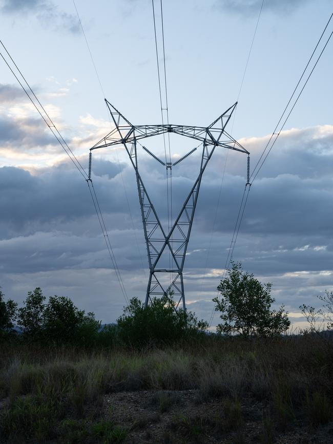 Transmission lines will be built on top of one of the state’s most significant koala populations two separate reports have found. Picture: Christine Schindler