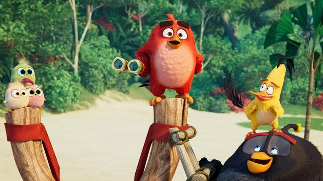 Not a single brain cell is needed to process The Angry Birds Movie. Picture: Sony Pictures