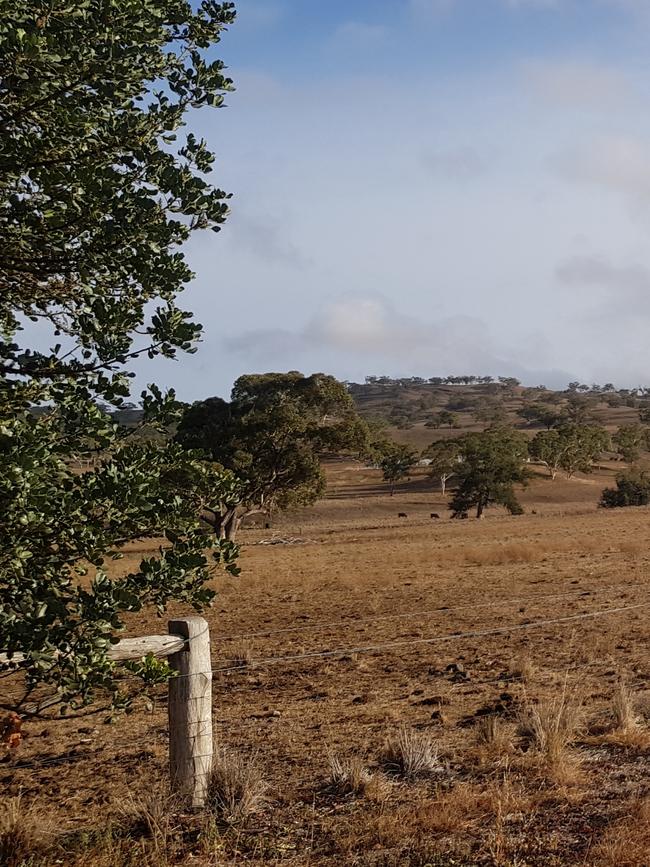 Today, the family has been forced to sell off cattle to keep on top of things.