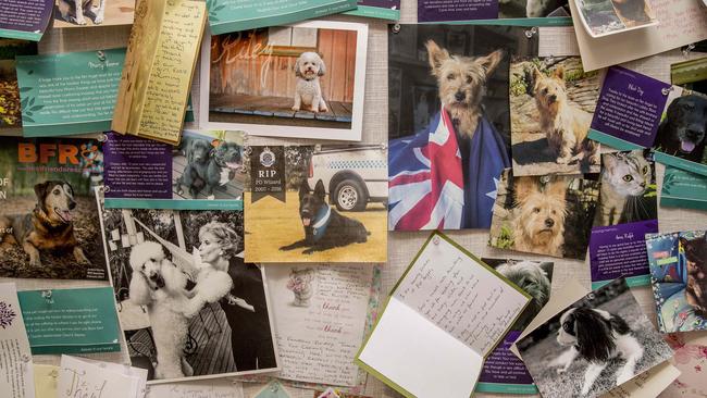 The business has a wall of photos and cards from pet owners. Picture: Jerad Williams