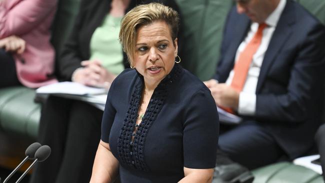 Michelle Rowland says she’s not afraid to do hard thing. Picture: NewsWire / Martin Ollman