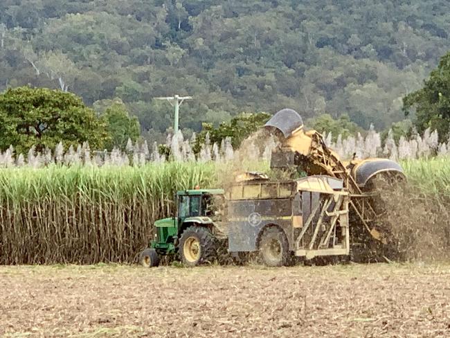 Sugar cane harvesting in the Pioneer Valley, Mackay. Picture: Rae Wilson