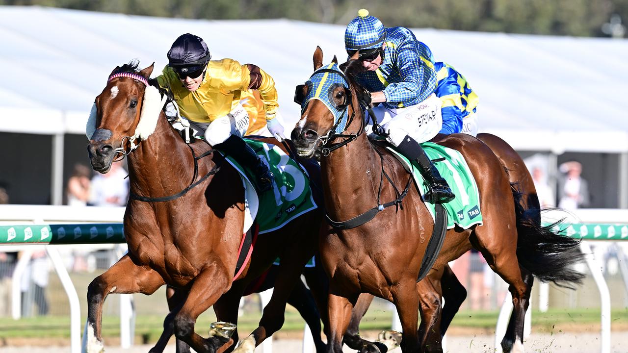 Red Wave returns to the winner's list with a tough victory in the Listed Ipswich Cup Picture: Grant Peters