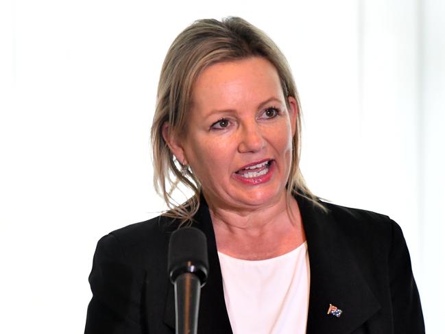 Federal Minister for the Environment Sussan Ley