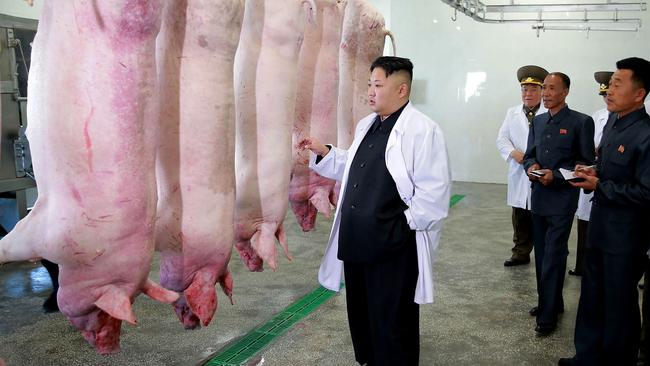 North Korean leader Kim Jong-un is pictured visiting a pig farm at Taechon Air Base of the Korean People's Army. Picture: AFP/KCNA via KNS