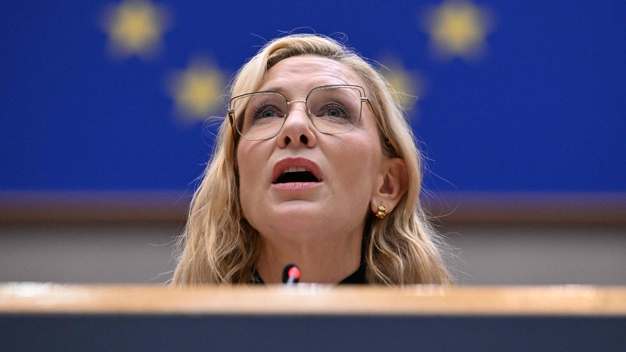 Blanchett reiterated the call during an address at the European Parliament Plenary Session in November. Picture: John Thys/AFP