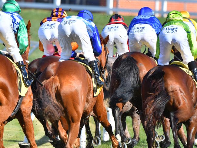 Best bets, tips Wangaratta races: Raceday focus with Simon Moy | Herald Sun