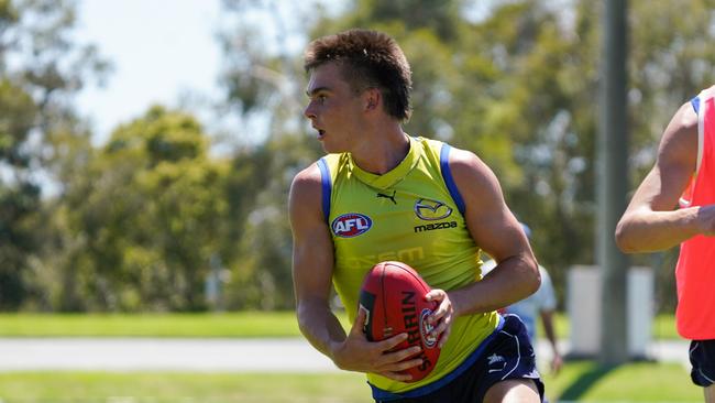 The left-footer was assigned to a ‘bus group’ with Roos defenders and has been spending significant time at halfback during match practice. Picture: North Melbourne FC