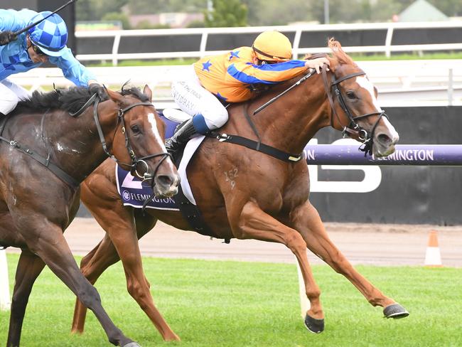 In-form sprinter Sans Doute can continue on her winning way in the first race of Saturday's Australian Guineas meeting at Flemington. Picture: Racing Photos via Getty Images.