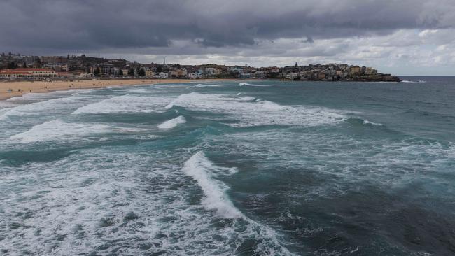 NSW Premier Chris Minns has confirmed shark nets will be deployed across 51 beaches from September 1. Picture: NCA NewsWire/ David Swift