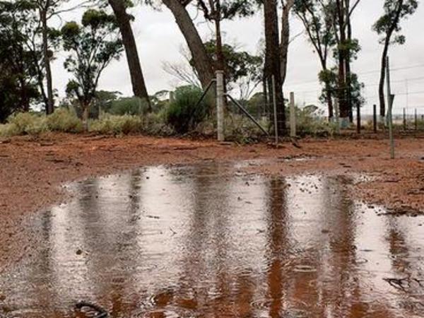 Heavy rain at Moorine Rock, 347km east of Perth, has wheat farmers smiling. Picture: Twitter