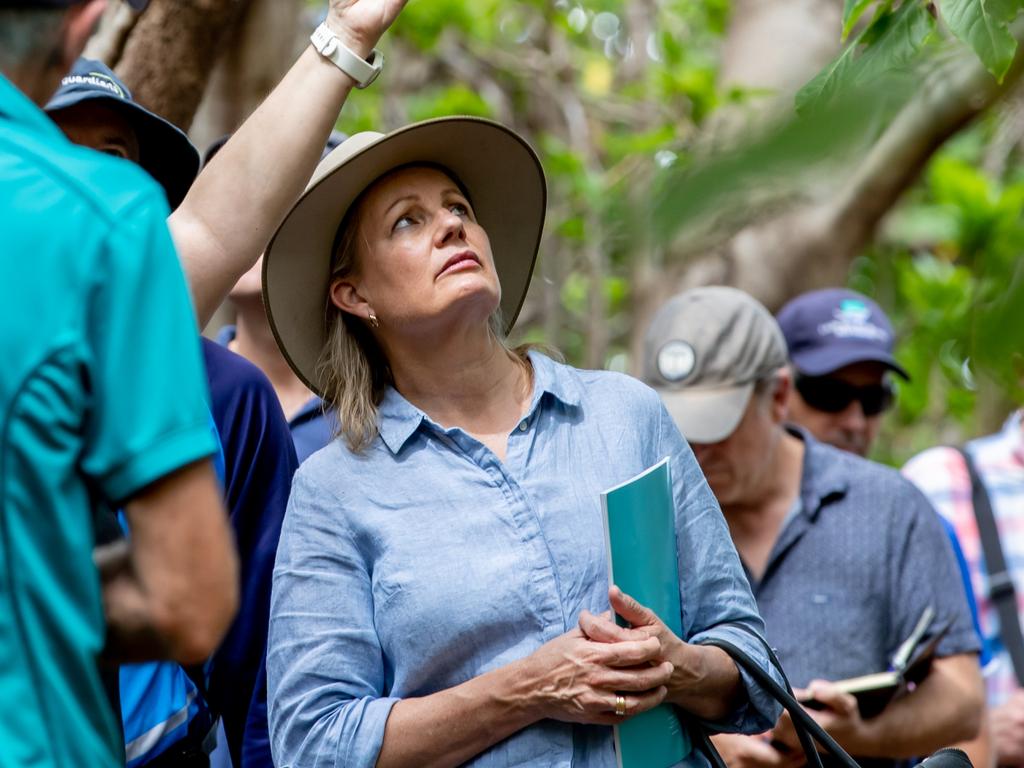 Environment Minister Sussan Ley ordered a review of export permits for wildlife. Picture: Luke Marsden