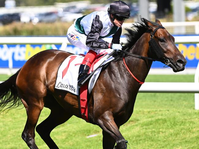 MELBOURNE, AUSTRALIA - FEBRUARY 24: Craig Williams riding Mr Brightside defeats Jamie Kah riding Pericles in Race 7, the Lamaro's Hotel Futurity Stakes, during Melbourne Racing at Caulfield Racecourse on February 24, 2024 in Melbourne, Australia. (Photo by Vince Caligiuri/Getty Images)