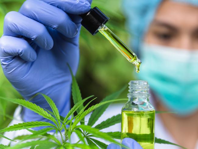 Doctors  holding bottle of Cannabis oil in pipette,hemp product, CBD cannabis OIL.  medical marijuana concept. Picture: Istock