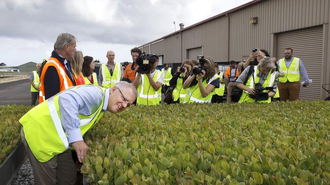 Prime Minister Scott Morrison at the Forico Nursery at Somerset, North-West Tasmania. Picture: CHRIS KIDD