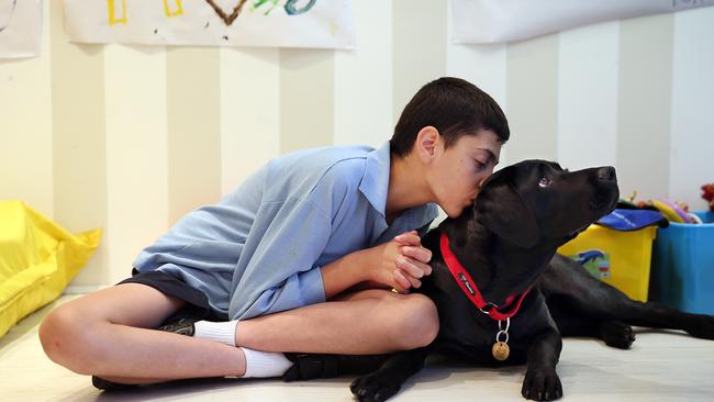 Autistic teen Kosta Bardas, 16, with assistance dog Asta the Labrador.