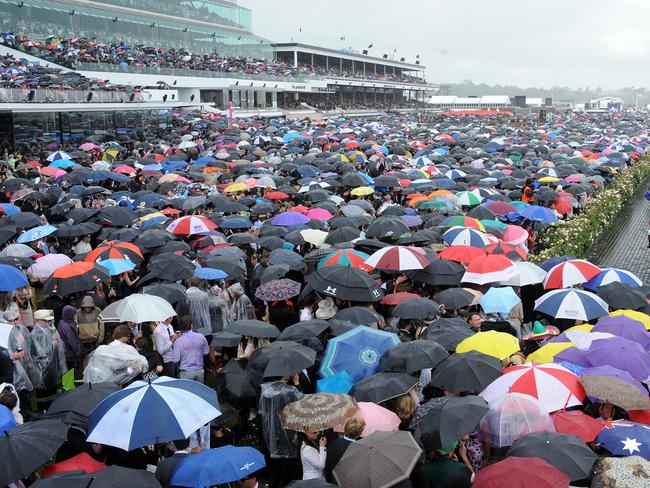 2010 Melbourne Cup. Shocking leads the field out onto the track for the 2010 Emirates Melbourne Cup. Umbrellas. Crowd. Rain. Wet weather.