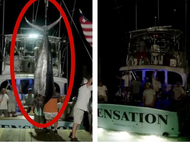 Fishing crew denied $5.1M in prize money after 600-pound marlin DQ’d in tournament.