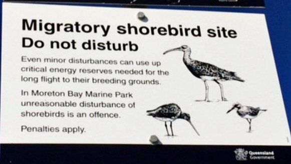 Migratory shorebird signs at Kakadu Beach, Bribie Island