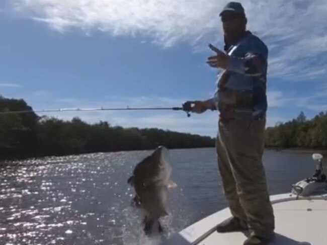 A huge barramundi comes close to jumping into JC'S Guided Sportfishing boat. Picture: JC'S Guided Sportfishing