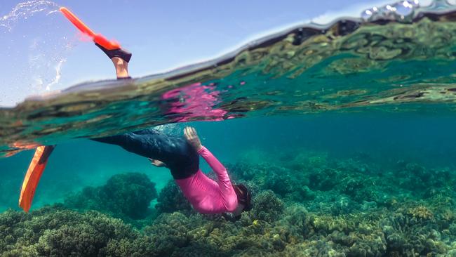 Cairns tourism operators are hoping the Queensland Government understands the implications of the 14 day isolation policy has on the survival of businesses. Photo: TTNQ