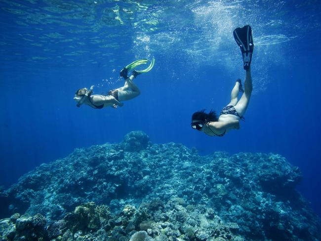 Snorkelling near the Great Barrier Reef.