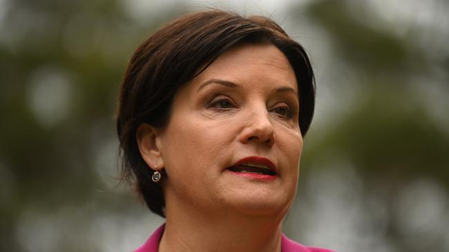 NSW Labor Leader Jodi McKay and her party have referred the Premier to the police. Picture: NCA NewsWire / Steven Saphore