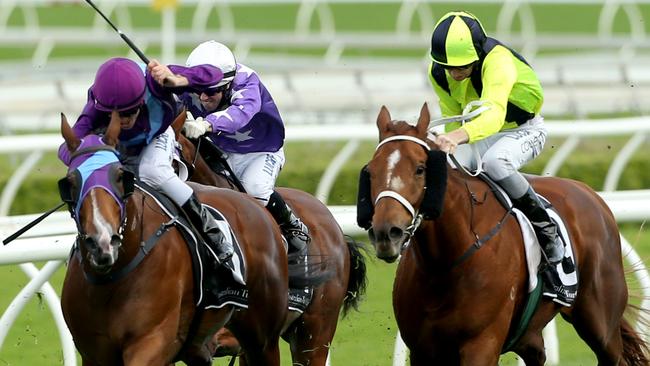 Abbasso, right, is racing in career best form. Picture: Damian Shaw