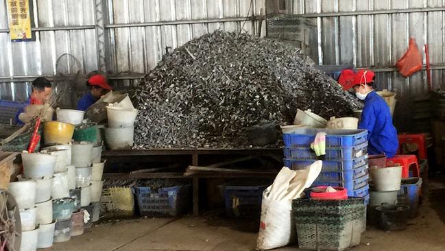Workers in China sift through piles of shredded aluminium. Picture: FormerFedsGroup.com