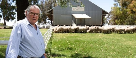 Sheep shape: Bell Securities’ Colin Bell on his NSW Riverina property north of Deniliquin.