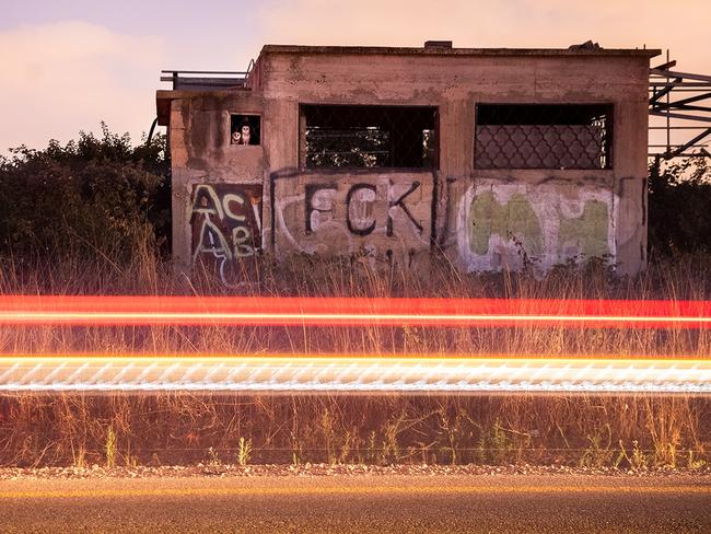 Barn owls rest in an abandoned concrete building near a busy road in Israel, which has the densest barn-owl population in the world. Picture: Carmel Bechler/Wildlife Photographer of the Year