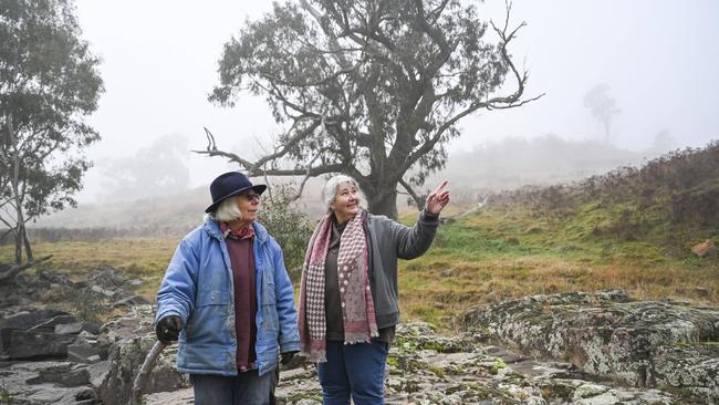 Mary-Jane Betts and her mother Nan Betts on their property in Yass. Picture: Martin Ollman