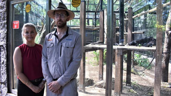 Rockhampton Zoo team leader Blair Chapman and Councillor Cherie Rutherford with alpha-male chimpanzee Alon in the background.