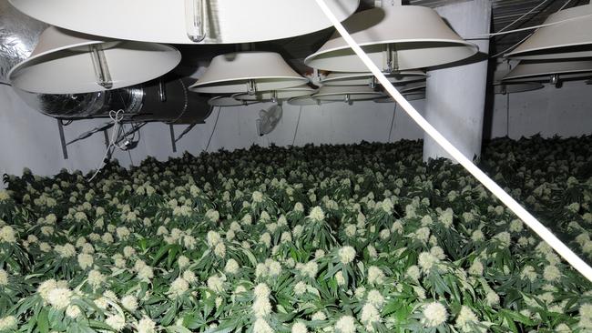 A man has been jailed after he was caught growing cannabis at a Truganina factory.