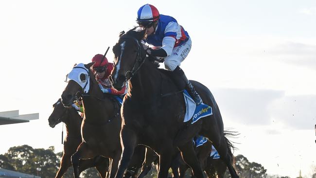 Impressive galloper The Open could notch his fifth win in his last six starts when he tackles the last race at Caulfield on Saturday. Picture: Racing Photos via Getty Images