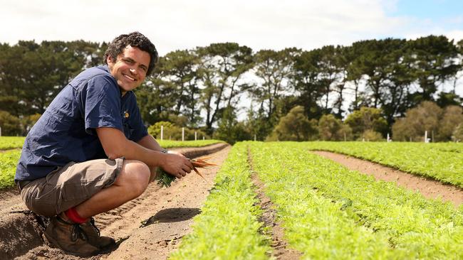 Pick of the bunch: Richard Hawkes runs Hawkes Vegetables at Boneo on Victoria’s Mornington Peninsula. Picture: Andy Rogers.